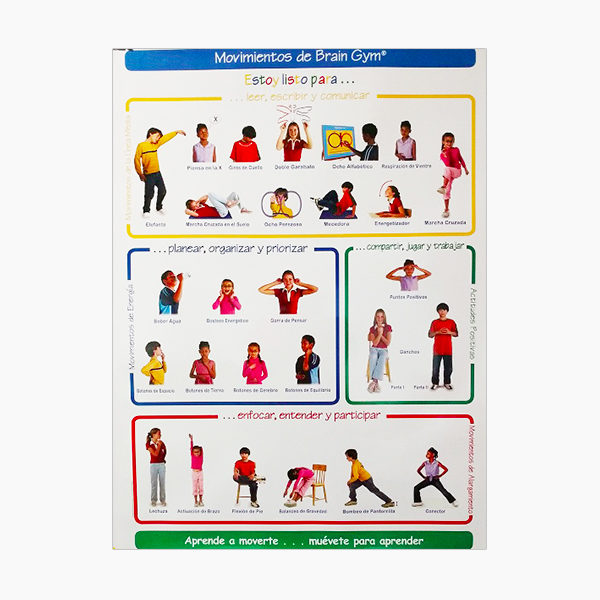 Ejercicios de Brain Gym®